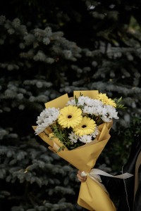 №41 Солнечный привет