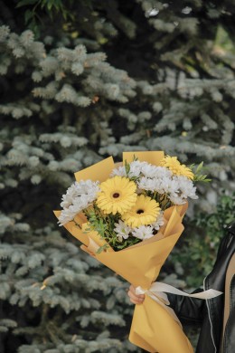 №41"Солнечный привет"