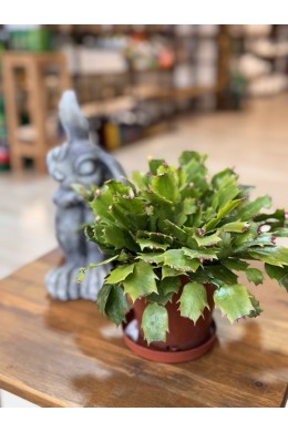 №4 Шлумбергера Микс №4 Шлумбергера Микс