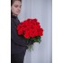 Роза Prestige в Томске