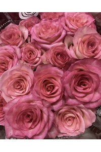 Роза микс ( упаковка 20 шт )