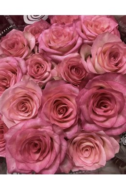 Роза микс ( упаковка 20 шт )