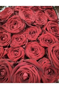 Роза микс ( упаковка 15 шт )