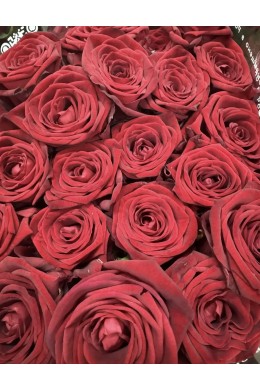 Роза микс ( упаковка 15 шт )